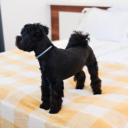 Rubo Hotel Sumen Kültér fotó