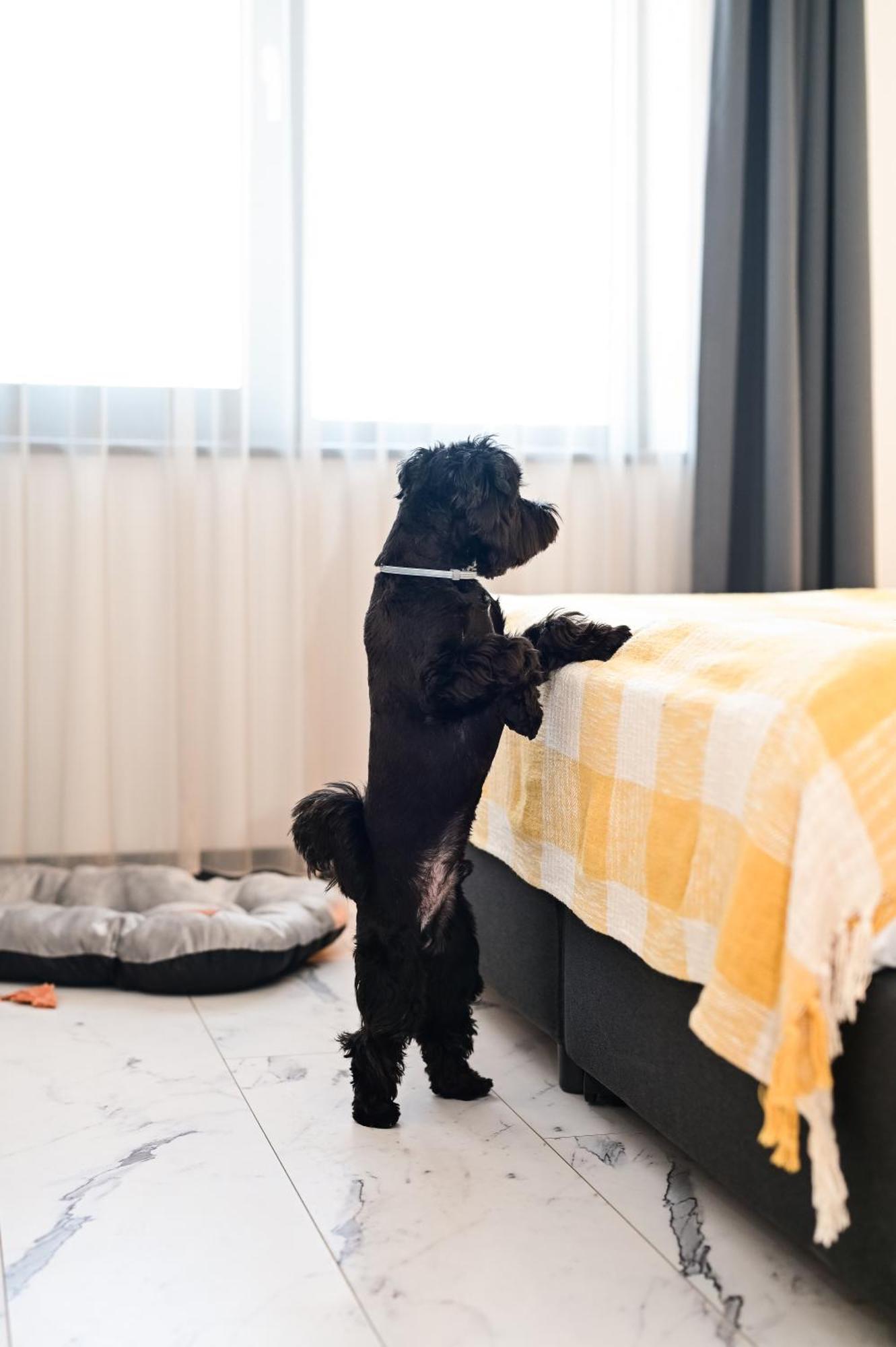 Rubo Hotel Sumen Kültér fotó